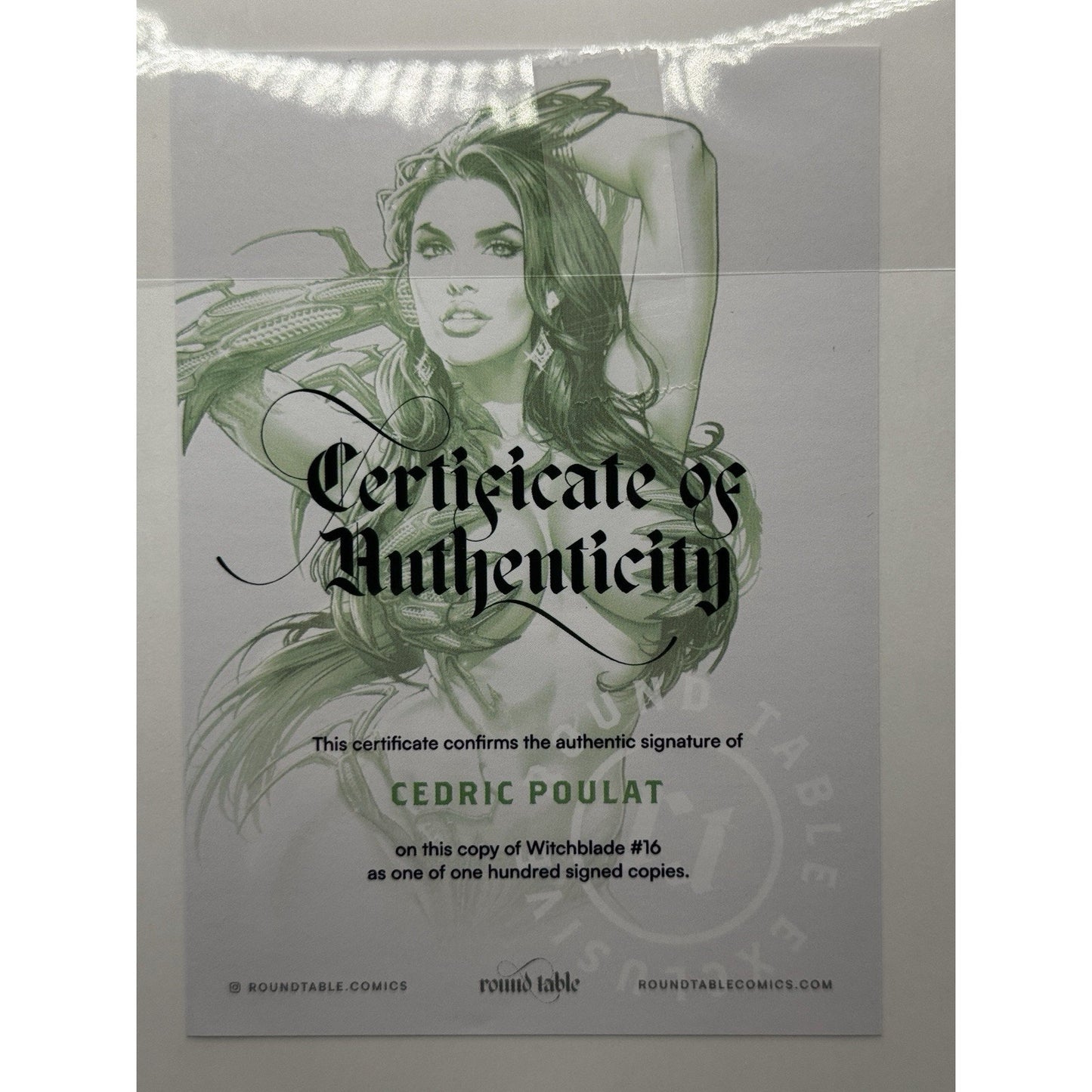 Witchblade #16 Blind Bag Cedric Poulat Virgin SIGNED w/COA (LTD 100 Copies)